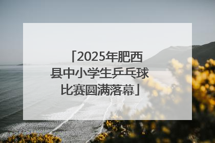 2025年肥西县中小学生乒乓球比赛圆满落幕