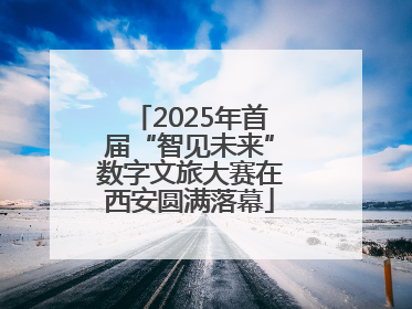 2025年首届“智见未来”数字文旅大赛在西安圆满落幕