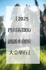 2025四川省微短剧剧本创投大会举行