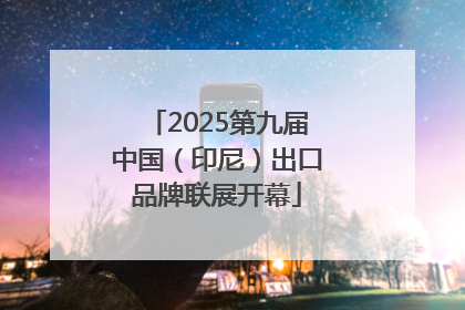 2025第九届中国（印尼）出口品牌联展开幕