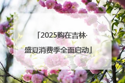 2025购在吉林·盛夏消费季全面启动