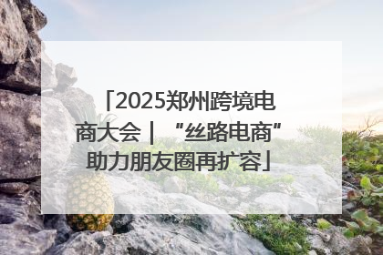 2025郑州跨境电商大会｜“丝路电商”助力朋友圈再扩容