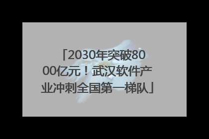 2030年突破8000亿元！武汉软件产业冲刺全国第一梯队