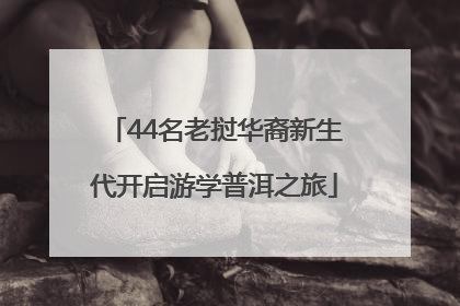 44名老挝华裔新生代开启游学普洱之旅