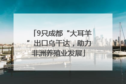 9只成都“大耳羊”出口乌干达，助力非洲养殖业发展