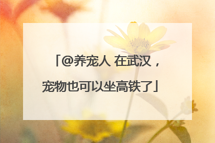 @养宠人 在武汉，宠物也可以坐高铁了